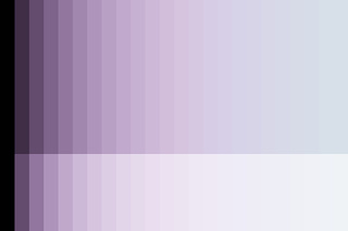 bottom-third-rectangle
