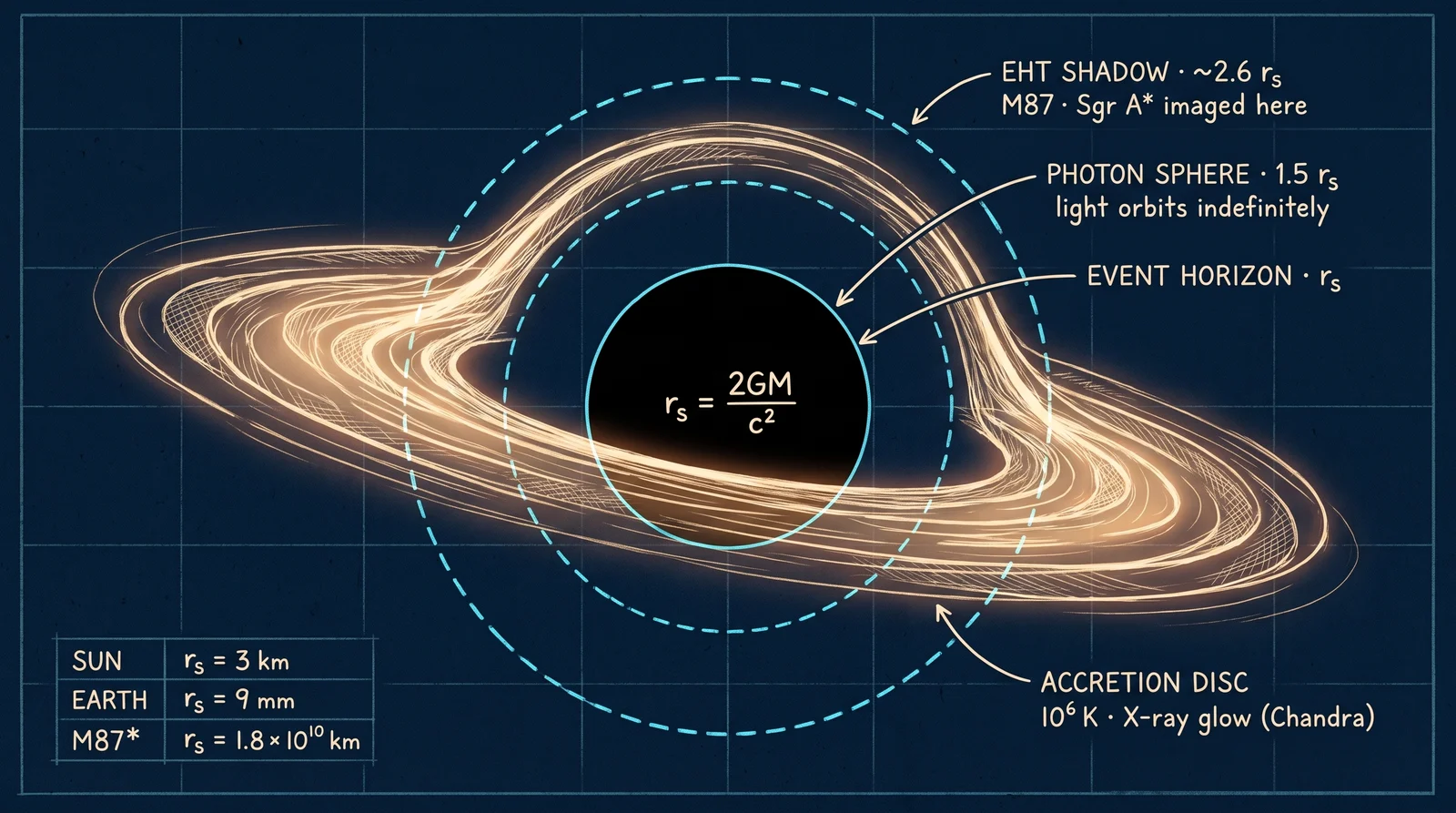 Event horizon (one-way membrane) + accretion disc (10⁶ K, X-ray glow) + photon sphere (light orbits at r = 1.5 r_s) + shadow (what EHT imaged). Real, mapped, weighed.