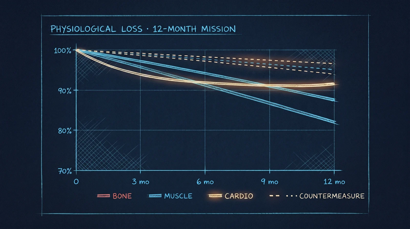 Physiological-loss curves over a 12-month mission. Bone (red, sharpest fall), muscle (blue), cardiovascular (gold). Daily exercise countermeasures (dashed) flatten each curve.