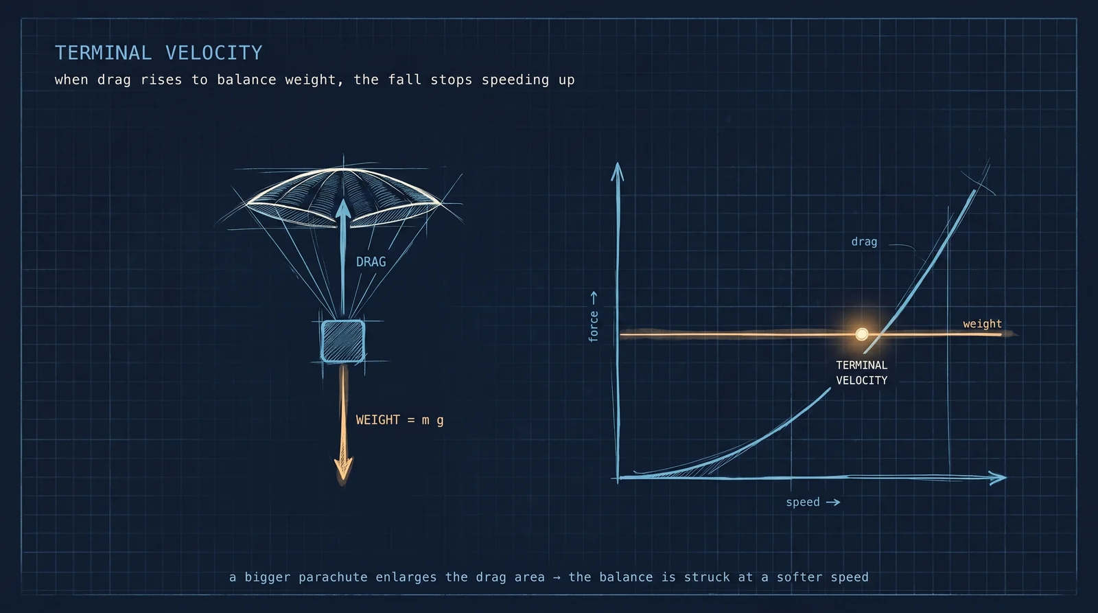 Terminal velocity: drag rises with speed until it balances weight; a parachute enlarges the drag area so the balance is reached at a soft descent speed.