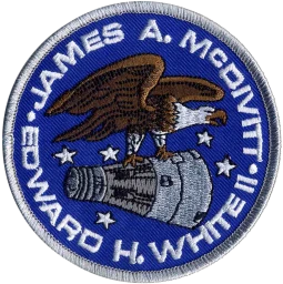 Gemini 4 insignia