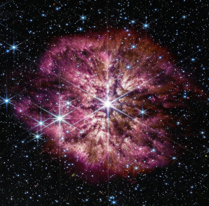 Wolf–Rayet 124 — Star